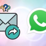 Cómo saber si alguien reenvió tu mensaje a otra persona en WhatsApp