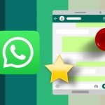 Cómo fijar mensajes en conversaciones de WhatsApp