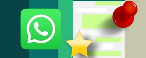 Cómo fijar mensajes en conversaciones de WhatsApp