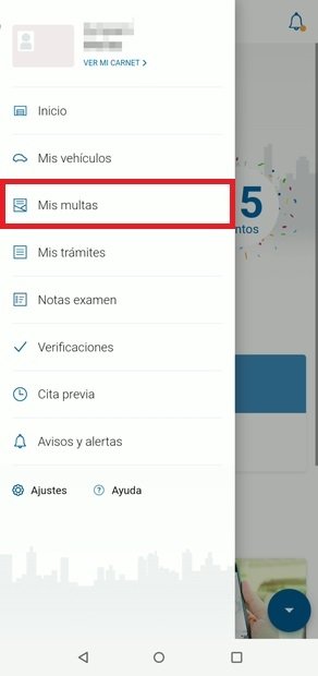 Ver todas las multas