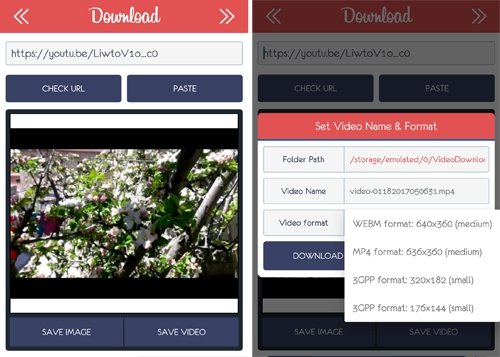 Video Downloader, sencilla, directa y funcional.