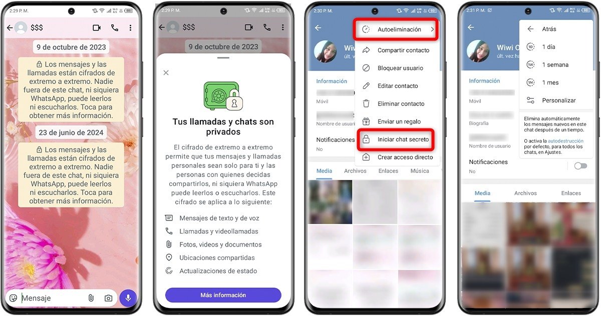 WhastsApp vs Telegram - Privacidad y seguridad