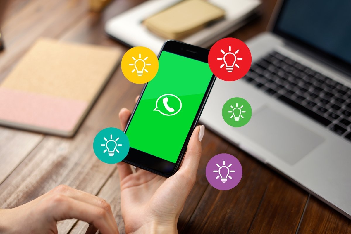 WhatsApp lanzará un chat oficial para informar de las últimas novedades thumbnail