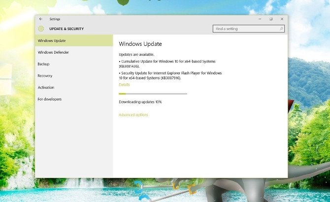 Windows 10 update
