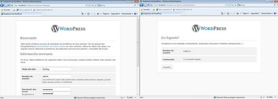 WordPress8
