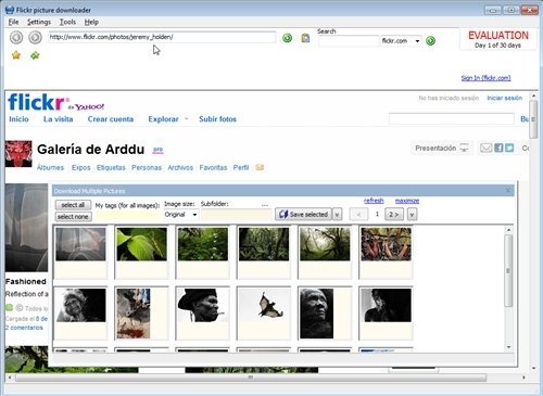 Flickr 4