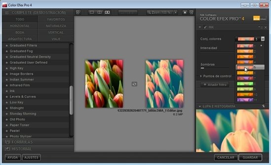 Color Efex 5