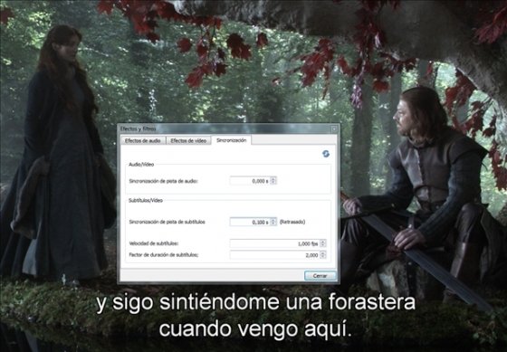 Sincronizar subtítulos 1