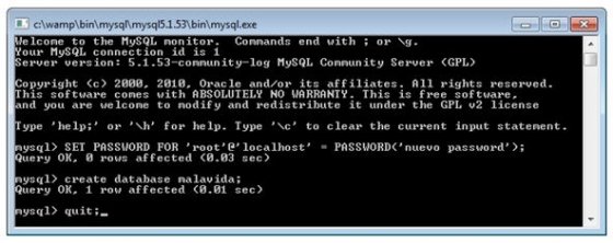 Terminal de MySQL