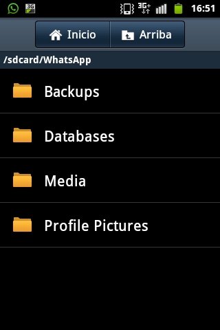 Eliminar archivos de carpetas de WhatsApp en Android