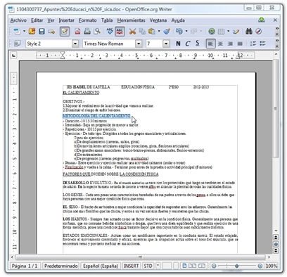 Archivo DOC descargado con el contenido reconocido mediante OCR