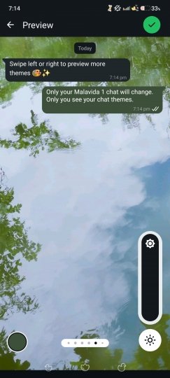 Previsualización de un tema de WhatsApp aplicado a un solo chat