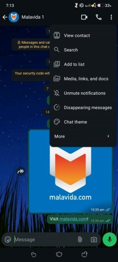 Opciones disponibles dentro de un chat de WhatsApp
