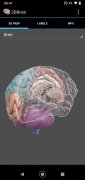 3D Brain image 3 Thumbnail
