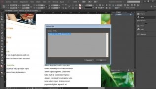 Adobe InDesign Изображение 5 Thumbnail