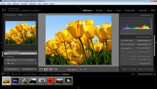 adobe photoshop lightroom 6.1 cc for mac