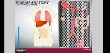 Anatomía humana imagen 2 Thumbnail
