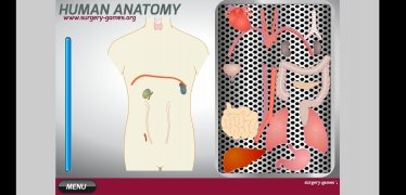 Anatomía humana imagen 4 Thumbnail