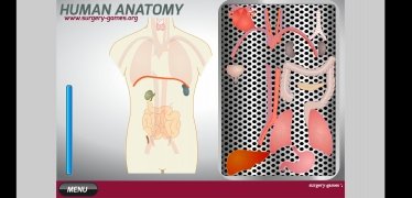 Anatomía humana imagen 8 Thumbnail