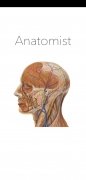 Anatomist image 1 Thumbnail