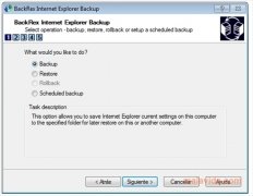BackRex Internet Explorer Backup imagen 1 Thumbnail