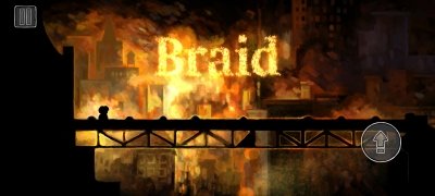 Braid image 2 Thumbnail