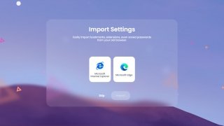 Brave Browser Portable Изображение 3 Thumbnail