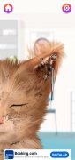 Cat ASMR 画像 10 Thumbnail