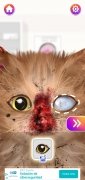 Cat ASMR 画像 7 Thumbnail