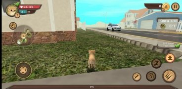 Cat Sim Online Изображение 3 Thumbnail