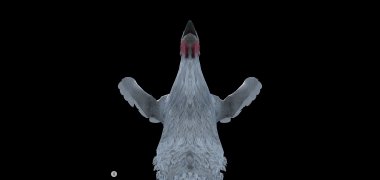 Chicken Feet 画像 6 Thumbnail
