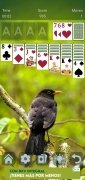 Classic Solitaire immagine 12 Thumbnail