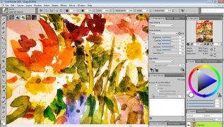 Corel Painter bild 1 Thumbnail