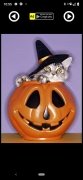 Disfraces Halloween Mascotas imagen 3 Thumbnail