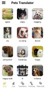Dog & Cat Translator 画像 8 Thumbnail