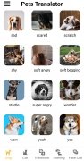 Dog & Cat Translator 画像 9 Thumbnail
