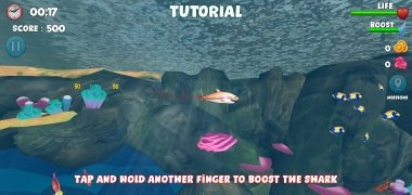 Double Head Shark Attack 画像 5 Thumbnail