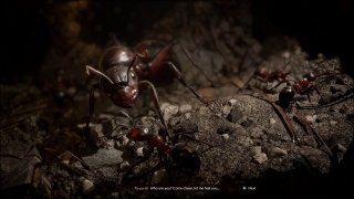 Empire of the Ants image 12 Thumbnail