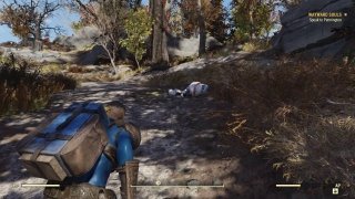 Fallout 76 画像 7 Thumbnail