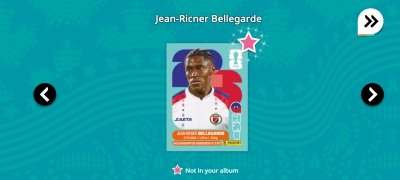 FIFA Panini Collection image 12 Thumbnail