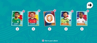 FIFA Panini Collection image 13 Thumbnail