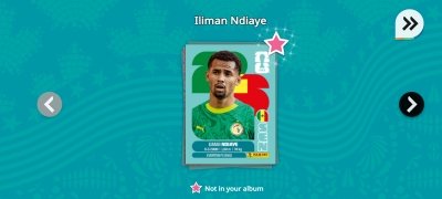 FIFA Panini Collection image 8 Thumbnail