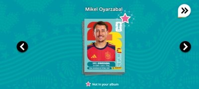 FIFA Panini Collection image 9 Thumbnail