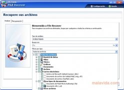 download the last version for windows Starus File Recovery 6.8