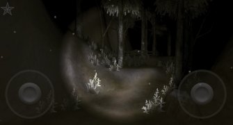 Forest 2 image 7 Thumbnail