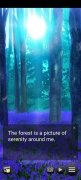 Forest of Destiny 画像 3 Thumbnail