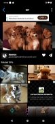 GIPHY image 11 Thumbnail