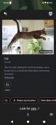 Google Assistente imagem 10 Thumbnail