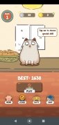 Haru Cats 画像 10 Thumbnail