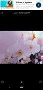 Huji Cam 画像 3 Thumbnail